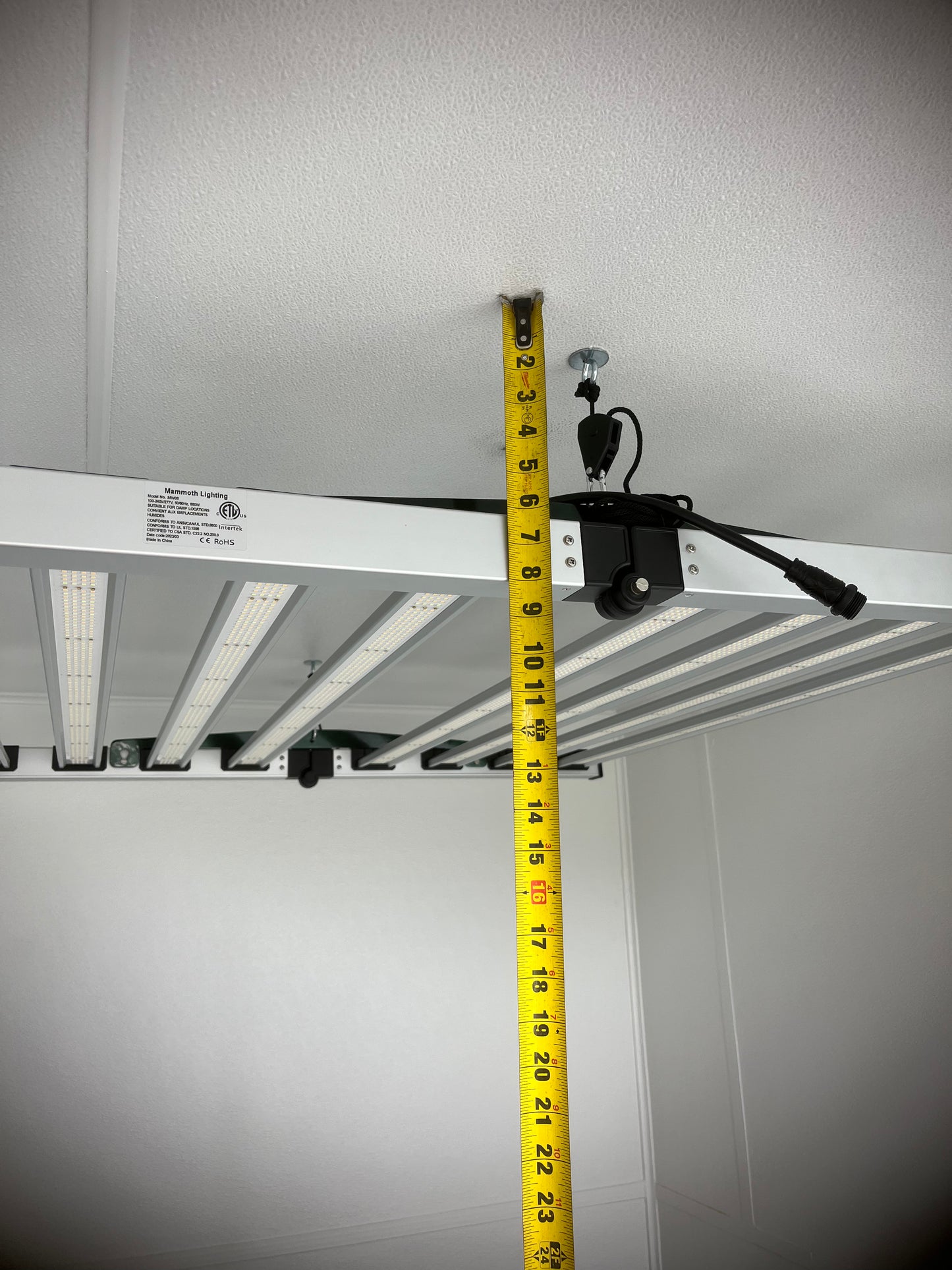 Mammoth Lighting Hangers