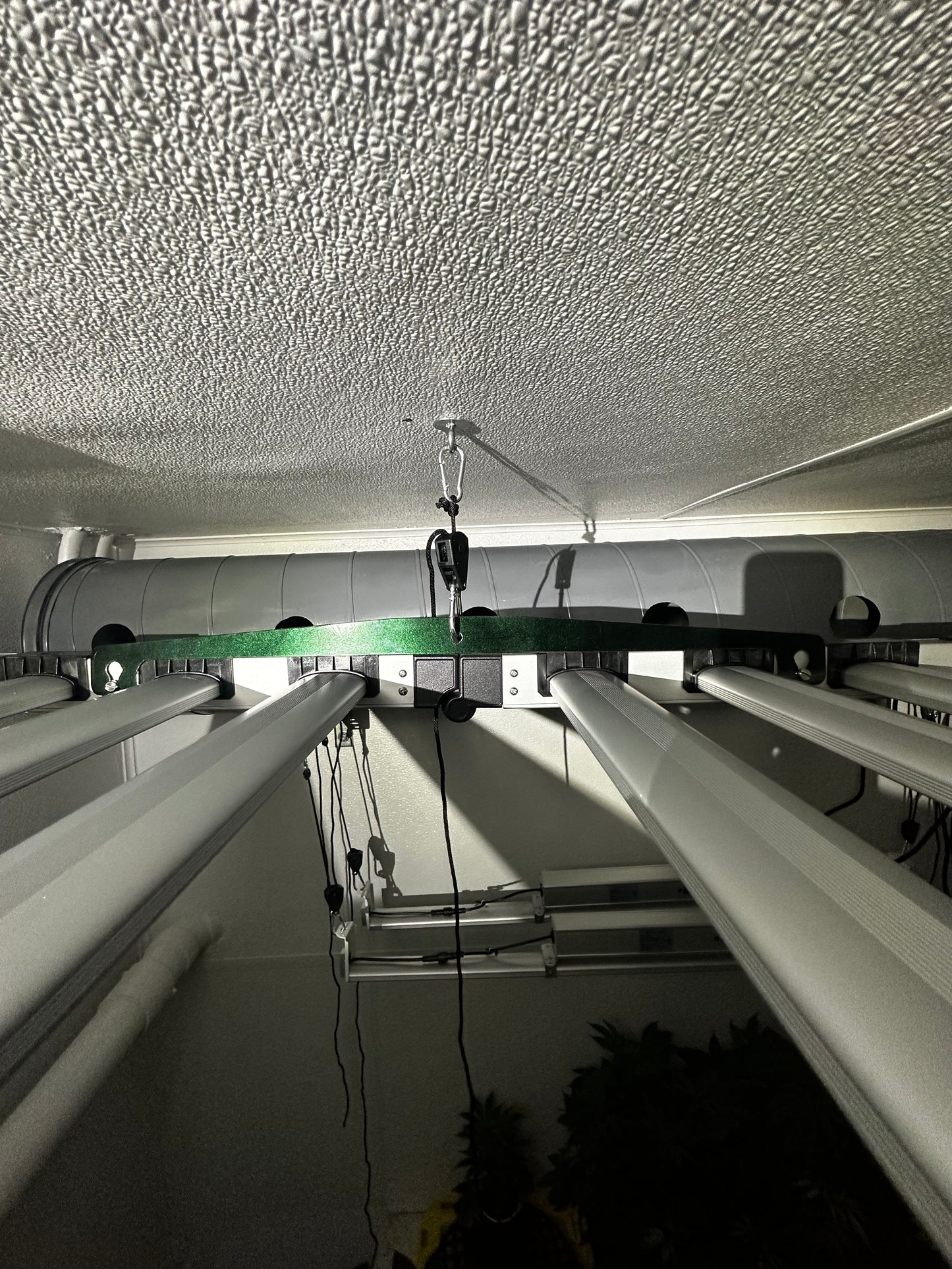 Mammoth Lighting Hangers